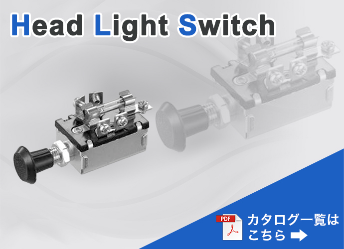 head_light_switches